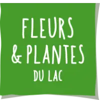 fleurs-et-plantes-du-lac