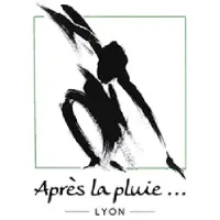 apres-la-pluie